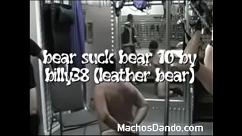 bear suck bear 10 (leather bear) - machosdando.com