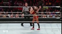 Nikki Bella gegen Paige Raw 3 23 15.