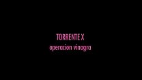 Torrente X - Операция Винагра