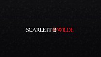 スカーレットBワイルドブログ-セックスワークにおけるコミュニケーション