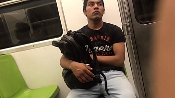 Schakal berührt den Hahn in der Metro Mexiko