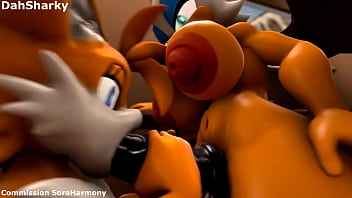 Rouge and Tails 3D animation
