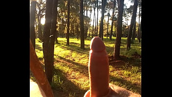 Jerking off in the park in the late afternoon