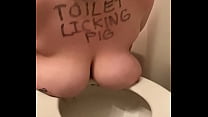Pornô de merda de justafilthycunt humilhando pornografia de banheiro lambendo e grunhindo como uma putinha de tesão