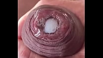 Compilation of Uncut Dick