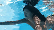 Beauté vénézuélienne Skinny Dipping Adventure et vitrine séduisante au bord de la piscine