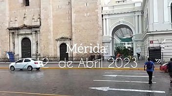 Cyber meetings in Mérida Yucatán