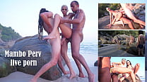 La jolie brésilienne Heloa Green baisée devant plus de 60 personnes à la plage (DAP, DP, Anal, Sexe en public, Monster cock, BBC, DAP à la plage. non édité, Raw, voyeur) OB237