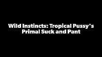Tropicalpussy - update #22 - Wild Instincts: Tropical Pussy's Primal Suck and Pant - Dec 26, 2023