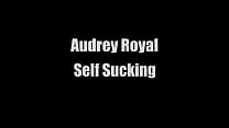 Audrey Royal Sfw